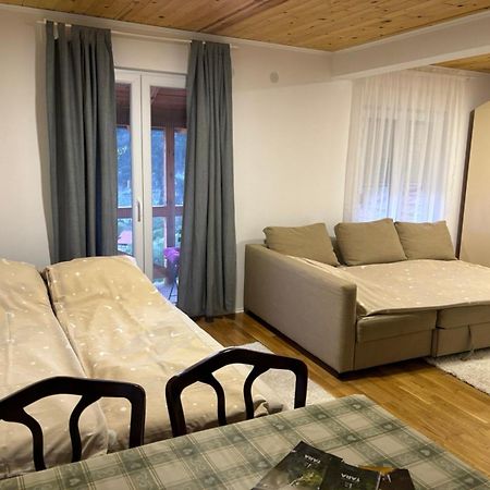 Ljubav Stara Zaovine Hotel Lazici ภายนอก รูปภาพ